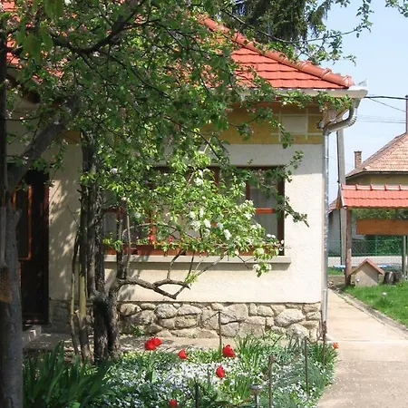 Apartment Mano Vendeghaz