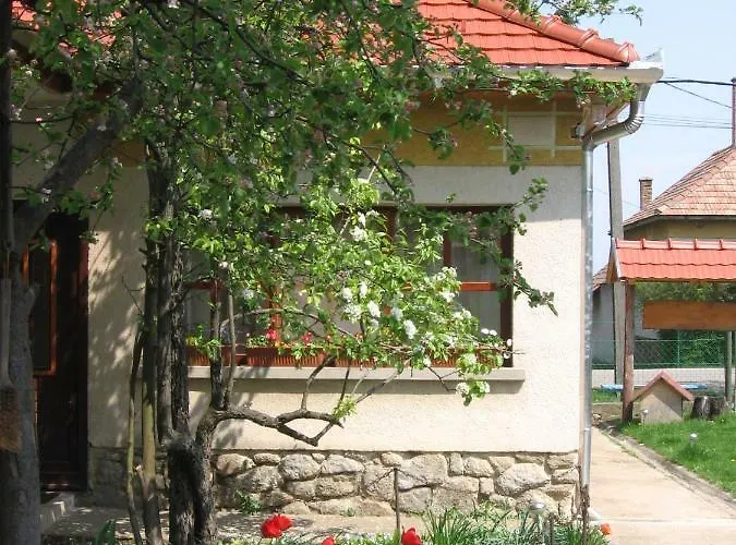 Appartement Mano Vendeghaz