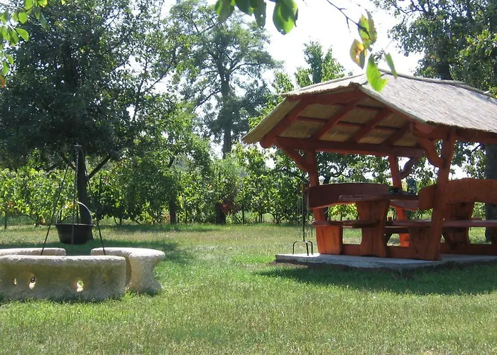 Lejlighed Mano Vendeghaz